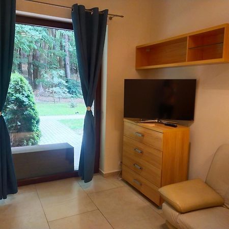 Apartament Przy Parku Wisełka Εξωτερικό φωτογραφία